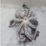 Frozen Octopus Supplier